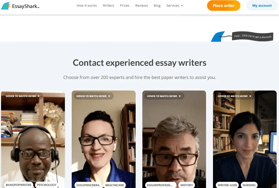 Website interface for EssayShark